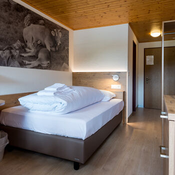Einzelzimmer im Hotel Walser, Goms